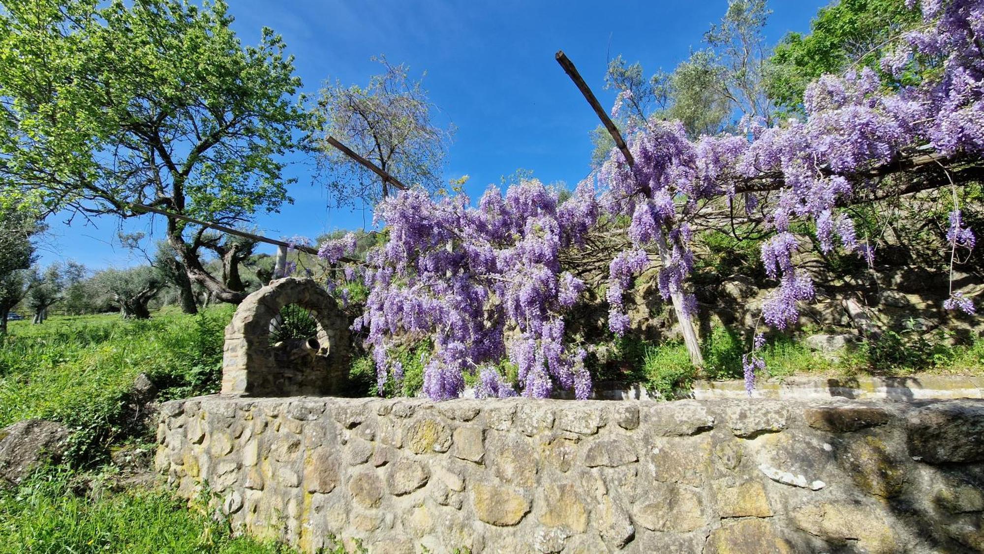 L'Ottava Goccia Country House Tolfa Exterior foto